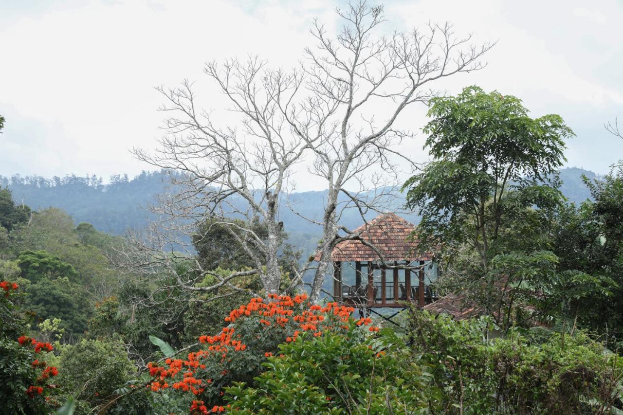 Spice Forest Plantation Homestay, Thekkady Vandiperiyar Exterior photo