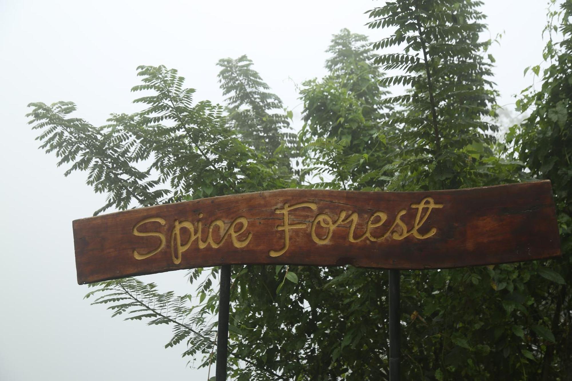 Spice Forest Plantation Homestay, Thekkady Vandiperiyar Exterior photo